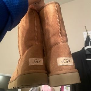 CHESTNUT UGGS